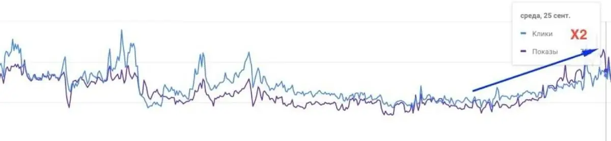 An electronics online store of a large retail chain, with organic Google search as the primary sales channel.